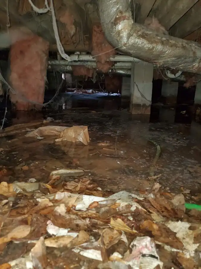 Crawl space flood assessment for Commercial Water Damage Restoration in Green