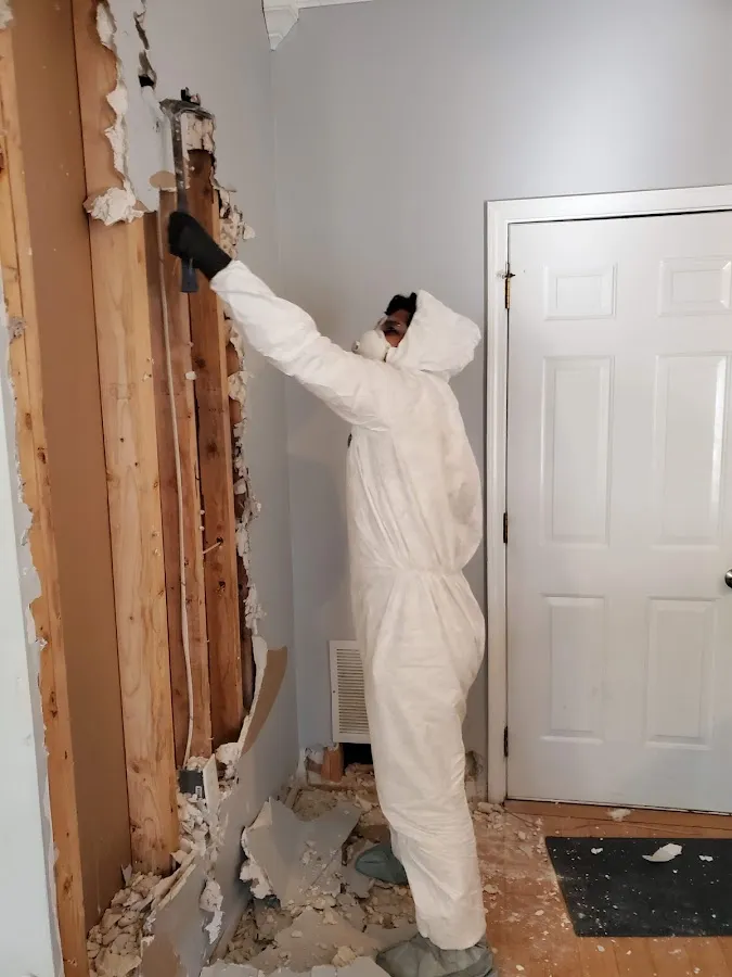 Commercial Water Damage Restoration in Green, OH